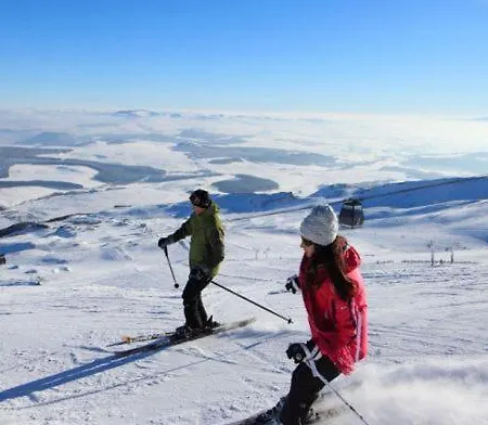 St Nectaire- Terrasse Privee- 4 Personnes Saint-Nectaire