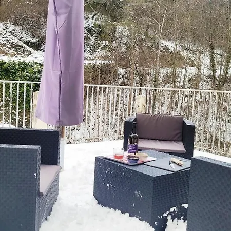 St Nectaire- Terrasse Privee- 4 Personnes 公寓