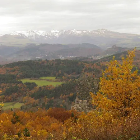 St Nectaire- Terrasse Privee- 4 Personnes 公寓 圣内克泰尔